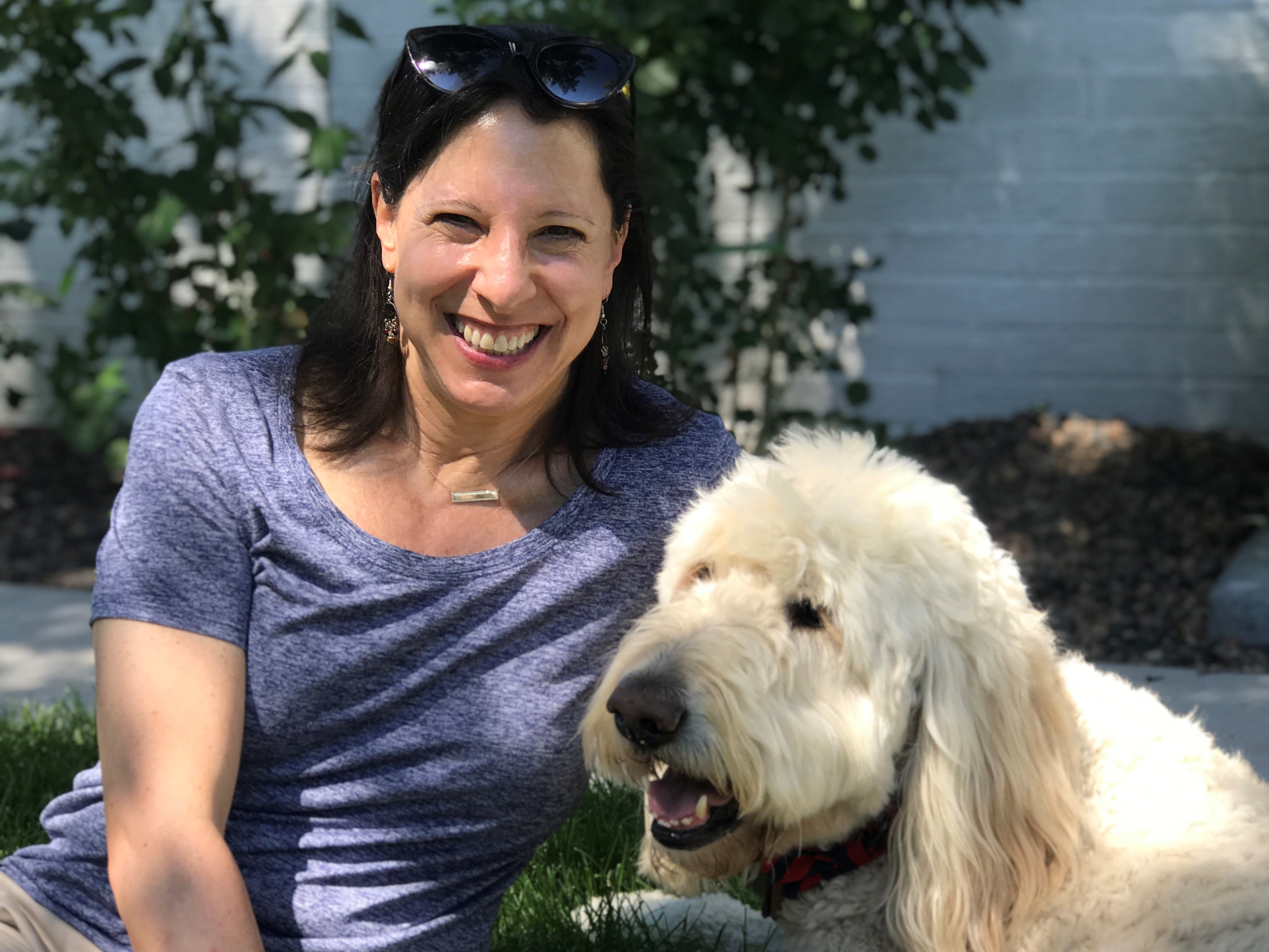 Grumble Dog: The all dog app