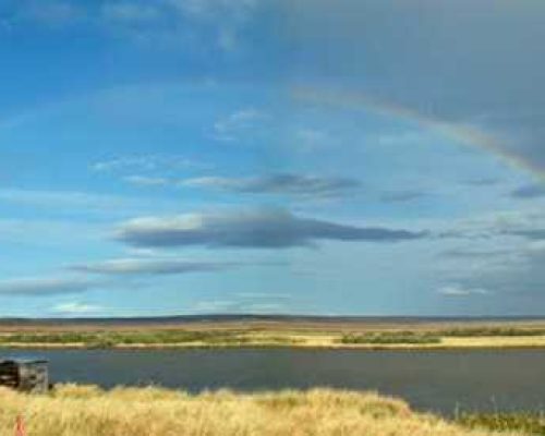 Rainbow-Alutiiq Word of the Week