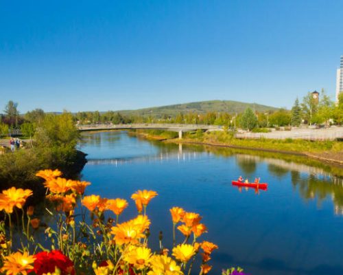 Your guide to the Chena River