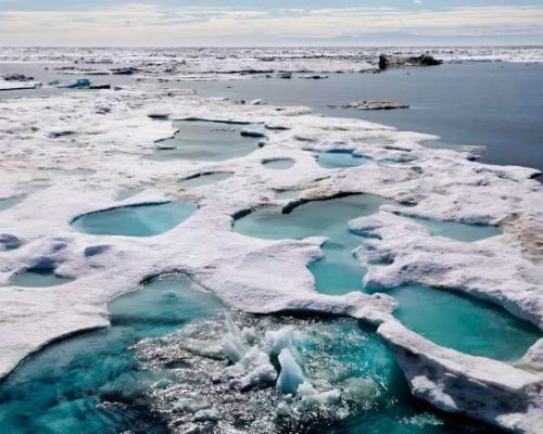 A reporter takes a deep dive on Trump-appointed chair of U.S. Arctic Research Commission