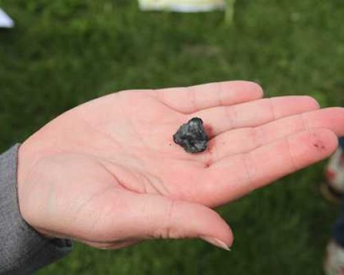 Expert to demonstrate how to produce biochar in Sitka