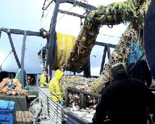 Sullivan Introduces Bycatch Reduction Act