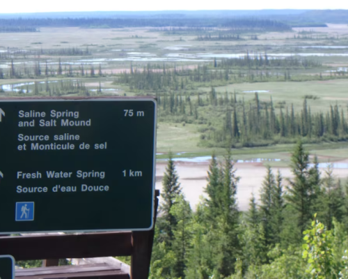 Nearly half of staff in N.W.T. and Yukon could be affected by layoffs: Parks Canada