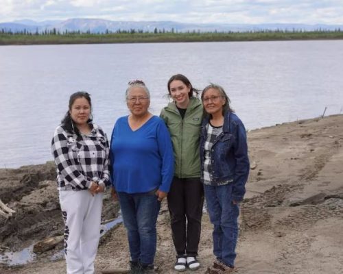 Hotter, drier summers causing wild berry declines in Gwich’in Settlement Area, new study finds