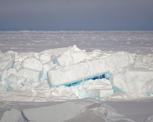 Canada to Host 12th Our Ocean Conference in Spring 2027