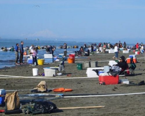 Kenai River Personal Use Dip Net Fishery Open 24 Hours Per Day