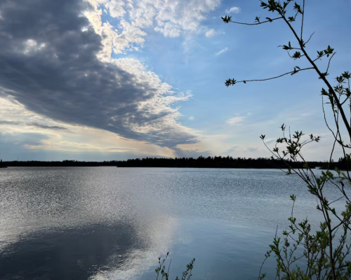 Diavik says more testing needed before stocking fish in Yellowknife’s Frame Lake