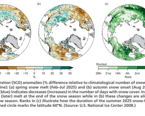 Record warmth, regional contrasts, mark 2025 in Canada’s Arctic: report