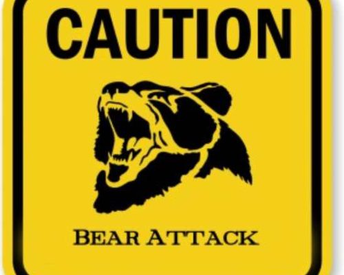 Woman Walking Her Dog in Bells Flats Mauled by Sow with Cubs