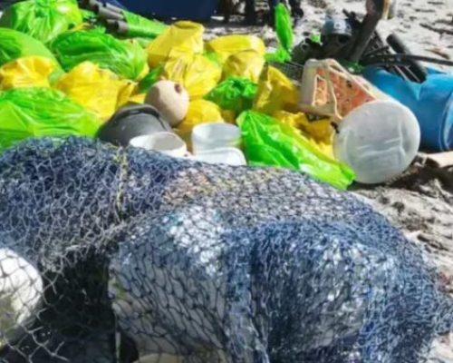 Ocean Conservancy Applauds Alaska Marine Debris Resolution