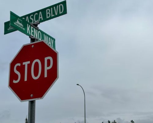 City of Whitehorse and Yukon gov’t stuck in the weeds over upkeeping Whistle Bend