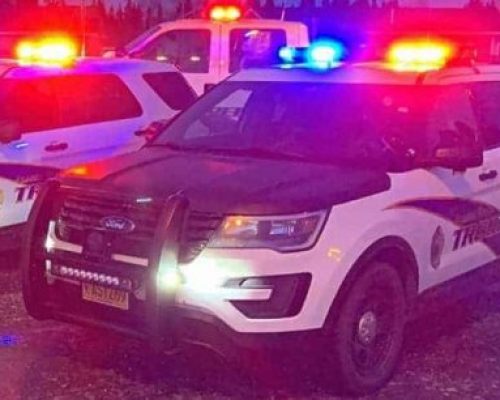 Troopers Apprehend Car Theft suspect near Seward after Search