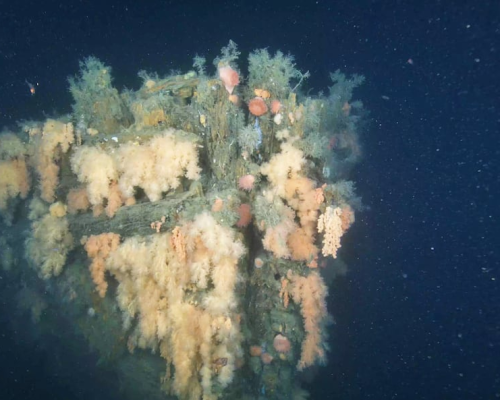 Underwater images reveal 1st look at Quest, the final ship of Antarctic explorer Ernest Shackleton