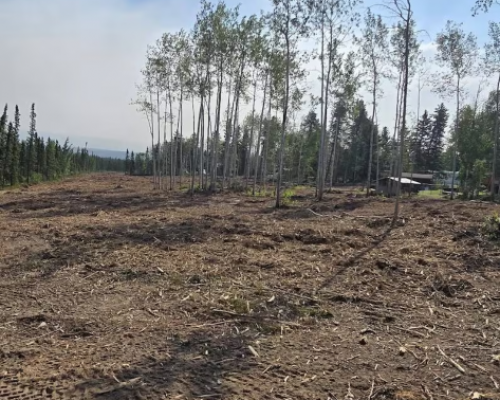Back burning planned to head off wildfire near Wrigley, N.W.T.